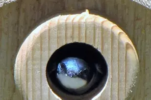 13892 Douglas Ranch Dr, Pine, CO 80470 - Photo 34