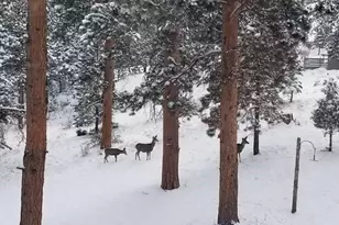 13892 Douglas Ranch Dr, Pine, CO 80470 - Photo 24