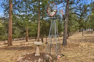 13892 Douglas Ranch Dr, Pine, CO 80470 - Photo 34