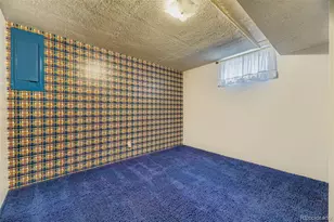 5980 W Milan Pl, Denver, CO 80235 - Photo 20
