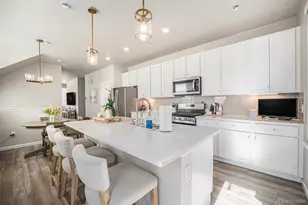 8430 Donati Ter, Highlands Ranch, CO 80129 - Photo 4