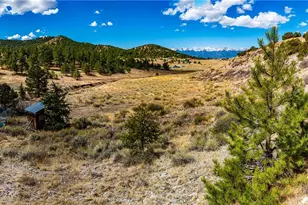 177 Bunker Hill Cir, Silver Cliff, CO 81252 - Photo 44