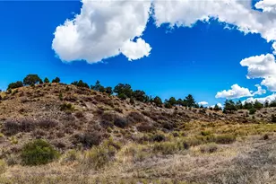 177 Bunker Hill Cir, Silver Cliff, CO 81252 - Photo 42