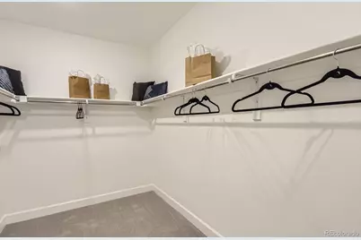 13792 Daffodil Point, Parker, CO 80134 - Photo 16