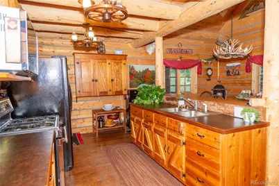 2150 Usfs Rd 521 #18A, Creede, CO 81130 - Photo 2