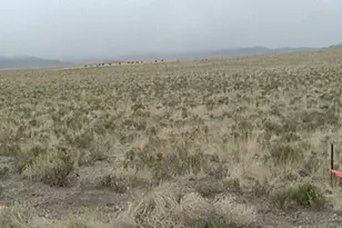 Arriba Rd, Blanca, CO 81123 - Photo 1