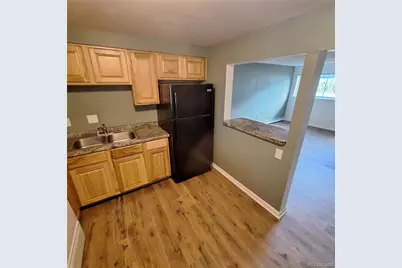 1065 Magnolia Street, Colorado Springs, CO 80907 - Photo 16