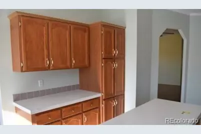 135 Navajo Trail, Hartsel, CO 80449 - Photo 8