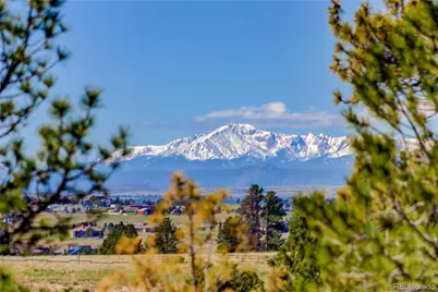 11251 N Forest Hills Drive, Parker, CO 80138 - Photo 36