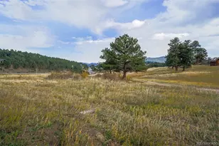 30591 Sun Creek Dr, Evergreen, CO 80439 - Photo 44