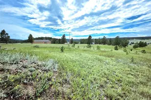 891 S Mountain Estates Rd, Florissant, CO 80816 - Photo 36