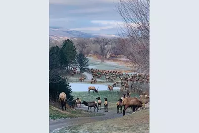 734 Rossum Drive, Loveland, CO 80537 - Photo 2