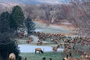 734 Rossum Dr, Loveland, CO 80537 - Photo 2