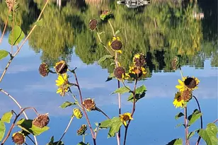 688 Brennan Cir, Erie, CO 80516 - Photo 28