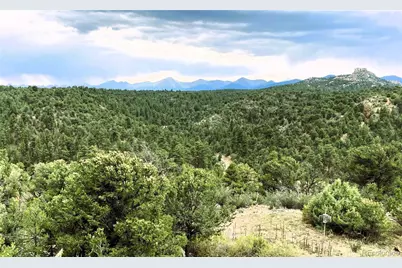 1209 Coyote Run, Cotopaxi, CO 81223 - Photo 22