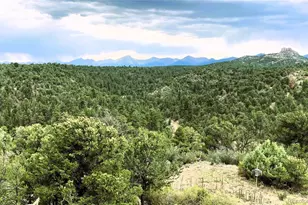 1209 Coyote Run, Cotopaxi, CO 81223 - Photo 22