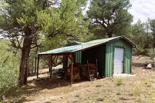 1209 Coyote Run, Cotopaxi, CO 81223 - Photo 20