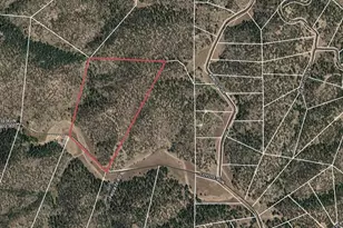 1209 Coyote Run, Cotopaxi, CO 81223 - Photo 48