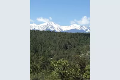1209 Coyote Run, Cotopaxi, CO 81223 - Photo 30