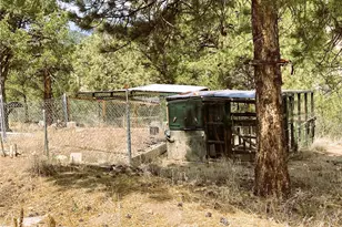 1209 Coyote Run, Cotopaxi, CO 81223 - Photo 18