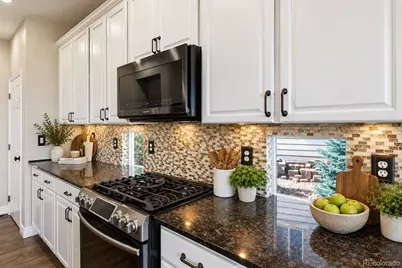 11361 Sun Prairie Court, Parker, CO 80138 - Photo 8