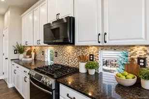 11361 Sun Prairie Ct, Parker, CO 80138 - Photo 8