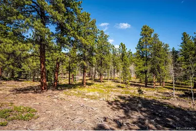 55 W Crosscut, Bailey, CO 80421 - Photo 34