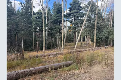 2662 Petito Drive, Fort Garland, CO 81133 - Photo 4