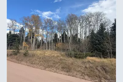 2662 Petito Drive, Fort Garland, CO 81133 - Photo 16