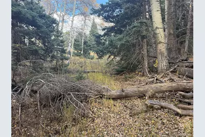 2662 Petito Drive, Fort Garland, CO 81133 - Photo 14