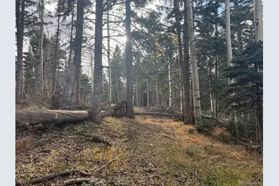 2662 Petito Drive, Fort Garland, CO 81133 - Photo 12