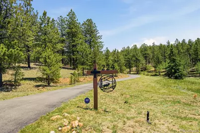 224 Hangman Road, Bailey, CO 80421 - Photo 2