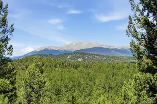 224 Hangman Rd, Bailey, CO 80421 - Photo 26