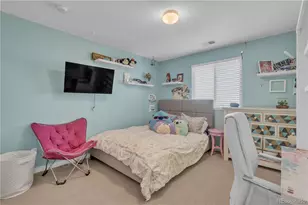 10632 Redvale Rd, Highlands Ranch, CO 80126 - Photo 24