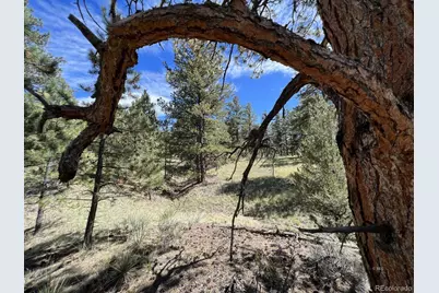 82 Kiowa Circle, Westcliffe, CO 81252 - Photo 14