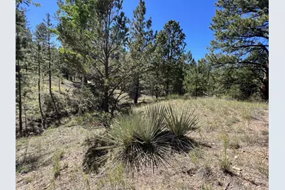 82 Kiowa Circle, Westcliffe, CO 81252 - Photo 10