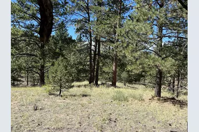 82 Kiowa Circle, Westcliffe, CO 81252 - Photo 12