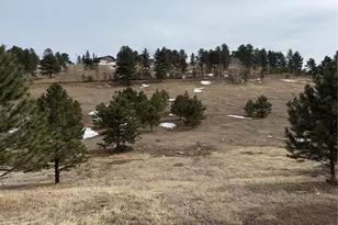 54 Georges Ln, Woodland Park, CO 80863 - Photo 36