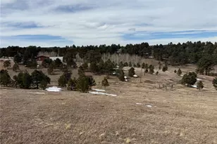 54 Georges Ln, Woodland Park, CO 80863 - Photo 38