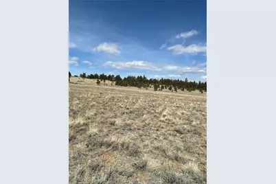 Guipago Trail, Hartsel, CO 80449 - Photo 6