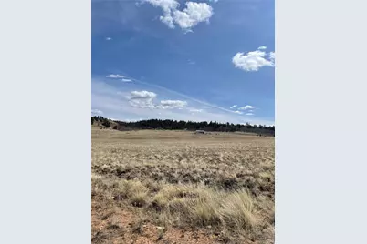 Guipago Trail, Hartsel, CO 80449 - Photo 4