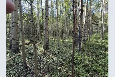 Lot 5331 Hull Road, Fort Garland, CO 81133 - Photo 6