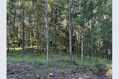 Lot 5331 Hull Road, Fort Garland, CO 81133 - Photo 2
