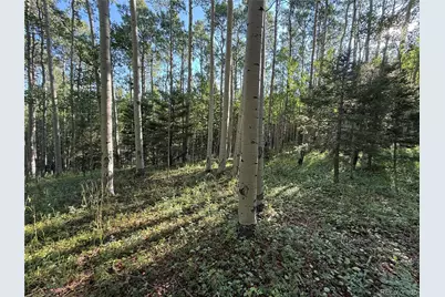 Lot 5331 Hull Road, Fort Garland, CO 81133 - Photo 8