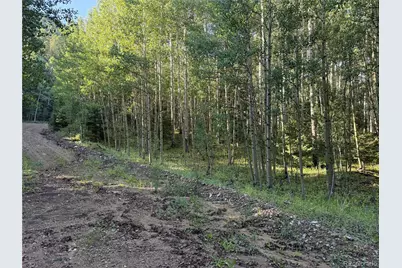 Lot 5331 Hull Road, Fort Garland, CO 81133 - Photo 1