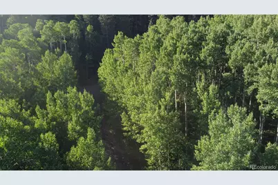 Lot 5331 Hull Road, Fort Garland, CO 81133 - Photo 20