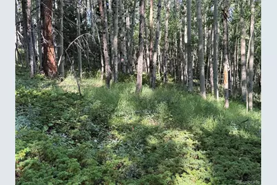 Lot 5331 Hull Road, Fort Garland, CO 81133 - Photo 28