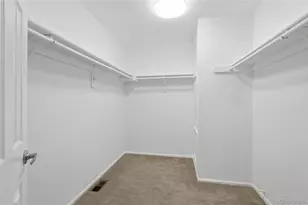 301 Mountain Cloud Cir, Highlands Ranch, CO 80126 - Photo 32