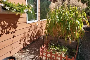 11220 S Deer Creek Rd, Littleton, CO 80127 - Photo 32