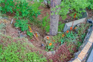 11220 S Deer Creek Rd, Littleton, CO 80127 - Photo 30